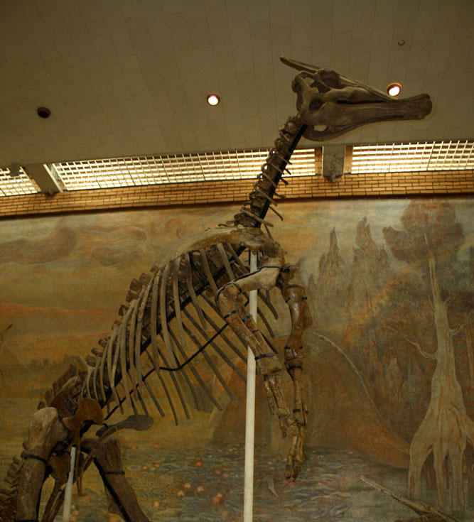 Hadrox Image Hadrosaurus by SkyDarko on DeviantArt