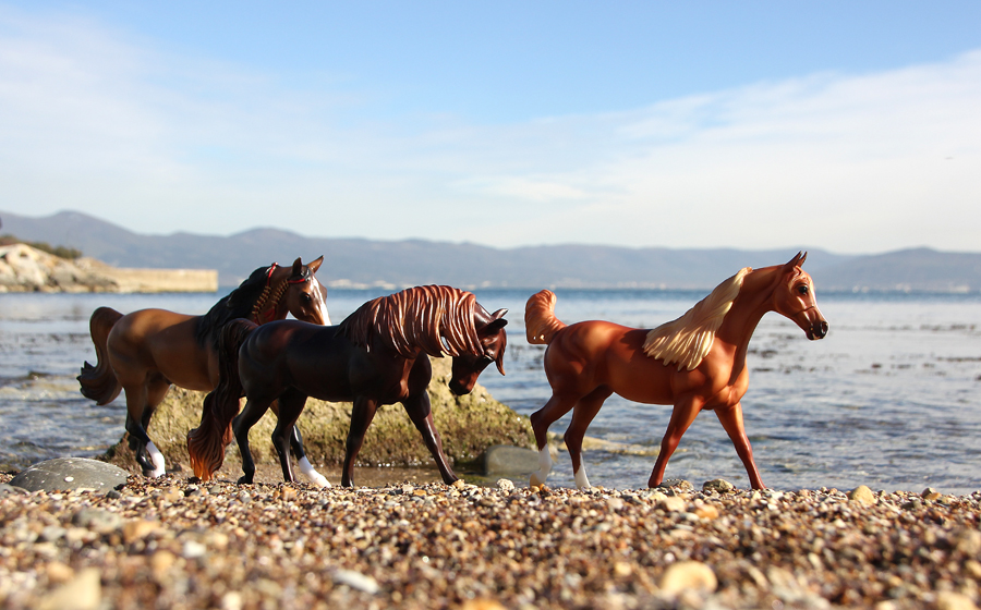 At the seaside