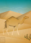 Camel by Fresco24