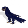 Spore creature - Hyacinth Macaw PNG