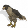 Spore creature - Peregrine Falcon PNG
