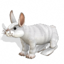 Spore creature - Domestic Rabbit (1) PNG by Tote-Meistarinn on DeviantArt