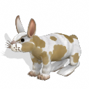 Spore creature - Domestic Rabbit (4) PNG by Tote-Meistarinn on DeviantArt