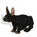 Spore creature - Domestic Rabbit (10) PNG by Tote-Meistarinn on DeviantArt