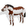 Spore creature - American Paint Horse (2) PNG
