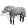 Spore creature - Icelandic Horse (14) PNG
