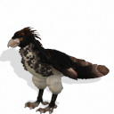 Spore creature _ Haast's Eagle PNG