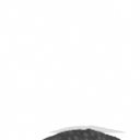 Spore creature _ Gray whale PNG