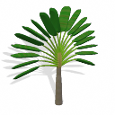 Spore Building - Traveller's Palm PNG