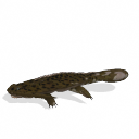 Spore creature - Diplocaulus PNG