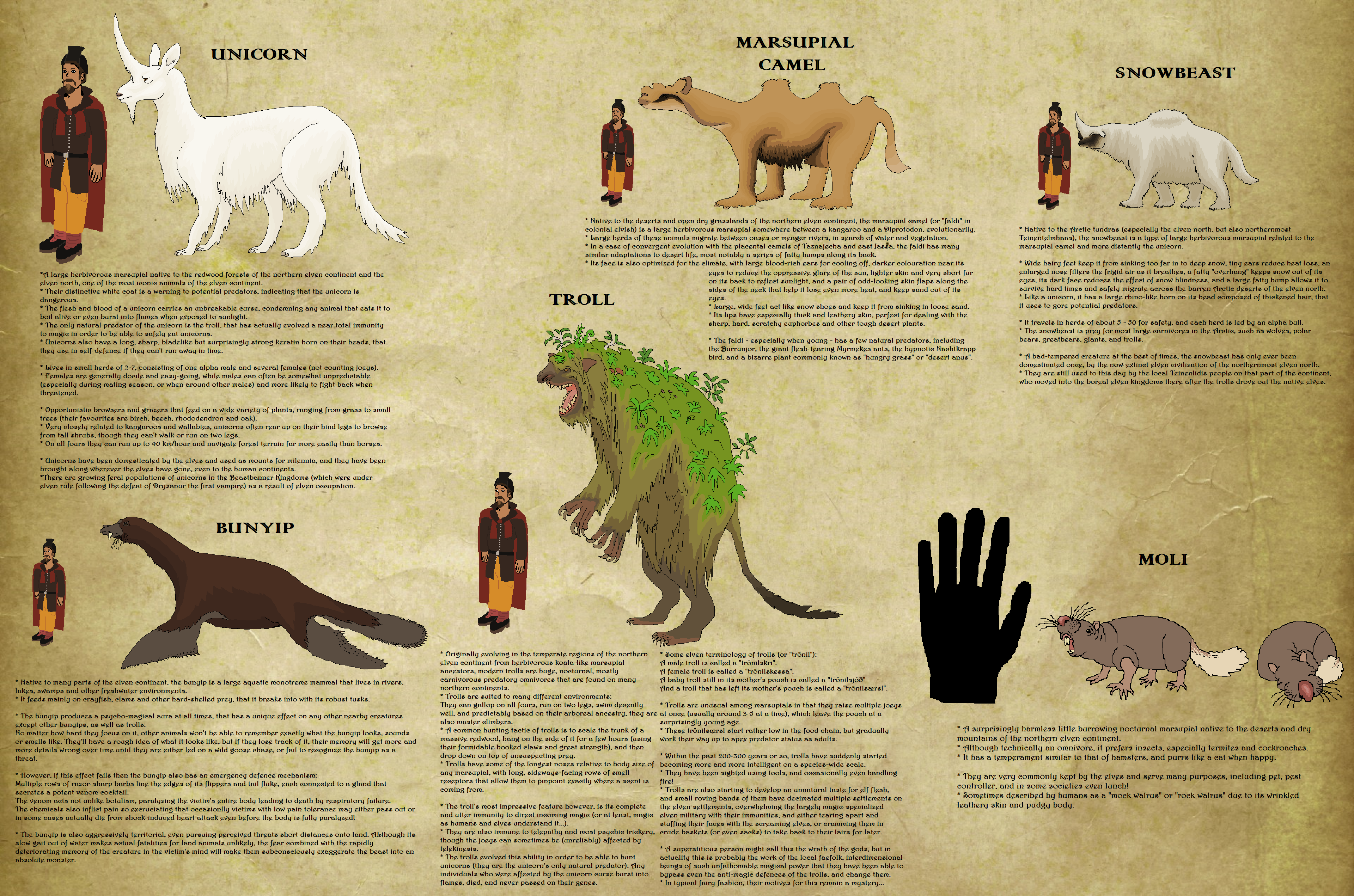 Wildlife of Oshar - Mammals of the elven continent by Tote-Meistarinn on DeviantArt Wildlife of Oshar - Mammals of the elven continent by Tote-Meistarinn on DeviantArt