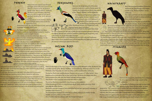Exotic Birds of the Elven Continent