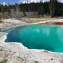 West Thumb Geyser Basin -Yellowstone National Park