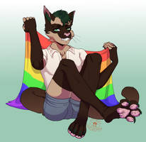 Gay kitty