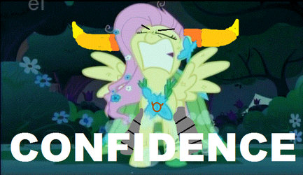 FlutterTav