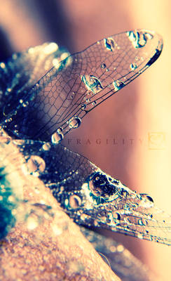 Fragility II