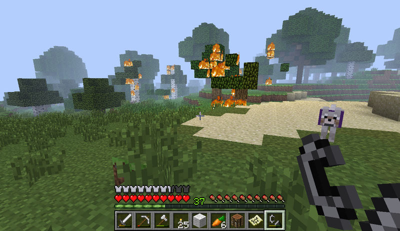 MineCraft_ Forest Fire by AyameHikari on DeviantArt
