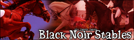 Black Noir Stables