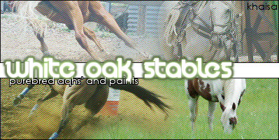 White Oak Stables