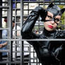 Catwoman on hold