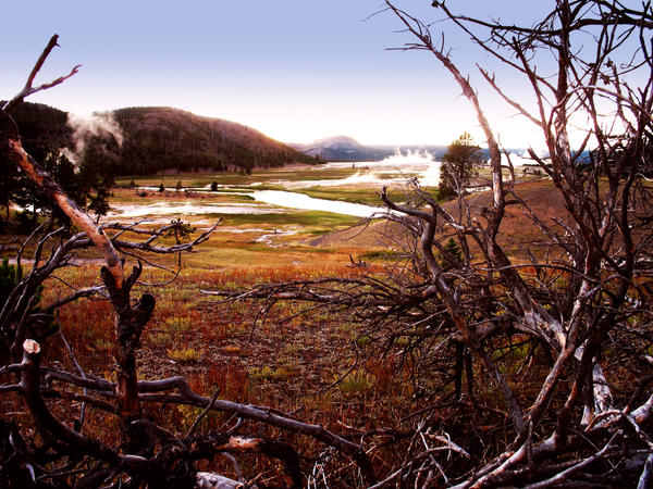 Geyser Valley