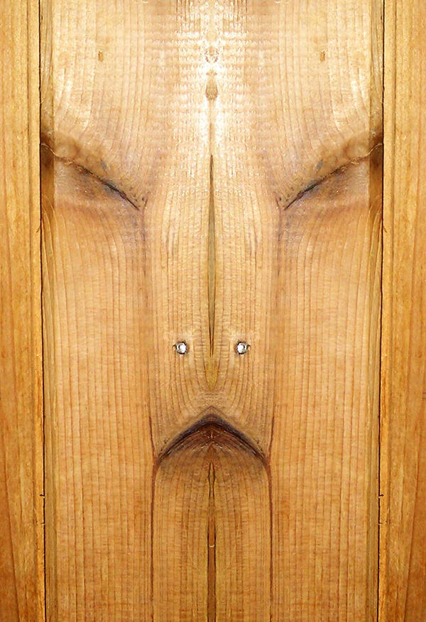 Face in the panelling