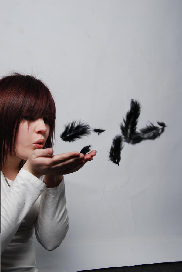 +Feathers from the Fallen+ by Deathgirl456 on DeviantArt