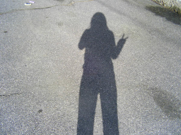 Disturbed Shadow Shadow by DisturbedxxAngel on DeviantArt