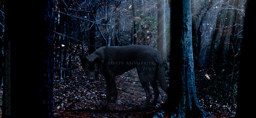 Version Thirty Layout Header by jessibearbot on DeviantArt