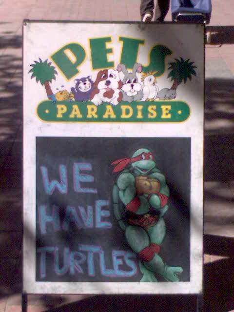 Ninja turtle pet store