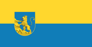 Ukraine 1848 flag