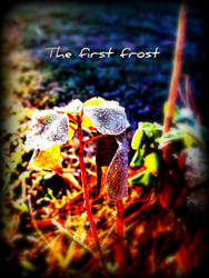 The First Frost