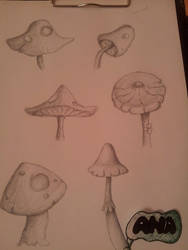 Mushrooms sketch