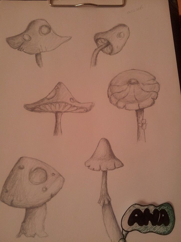 Mushrooms sketch