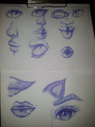 Eye/Mouth/Nose/Ear Sketches