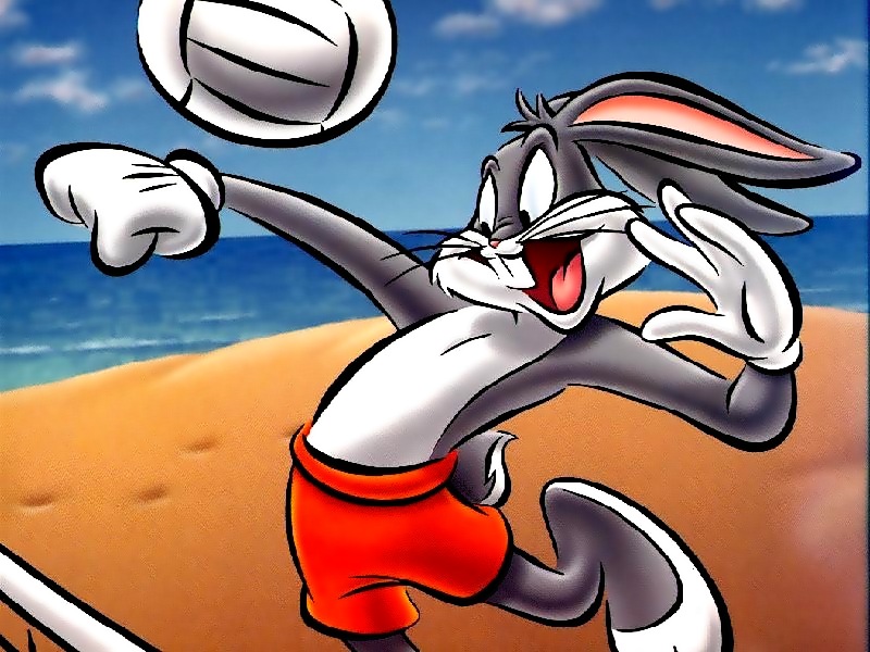 bugs bunny volleyball by skylinephoto