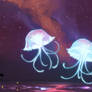 the stargazers.