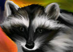 Raccoon Study by Mauxette