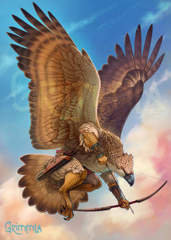 the Aarakocra