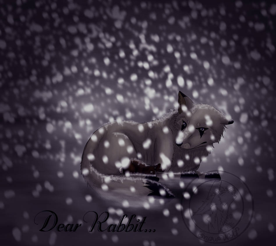Dear Rabit Dear Rabbit by SnowWolfProductions on DeviantArt