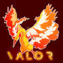 Team Valor