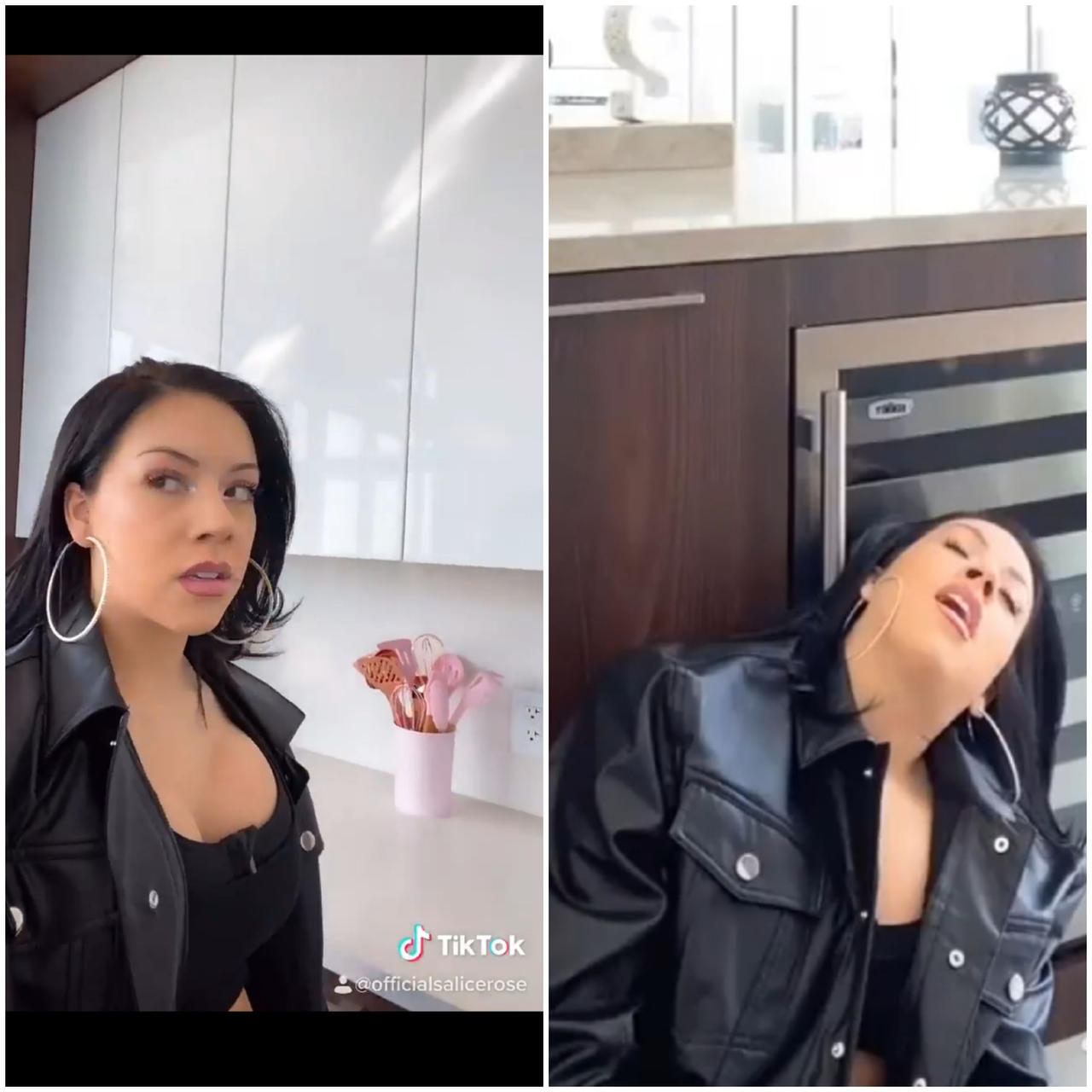 Salice Rose before and after KO'd and put to sleep by poemesk on DeviantArt