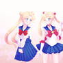 Usagi And Sailor Moon