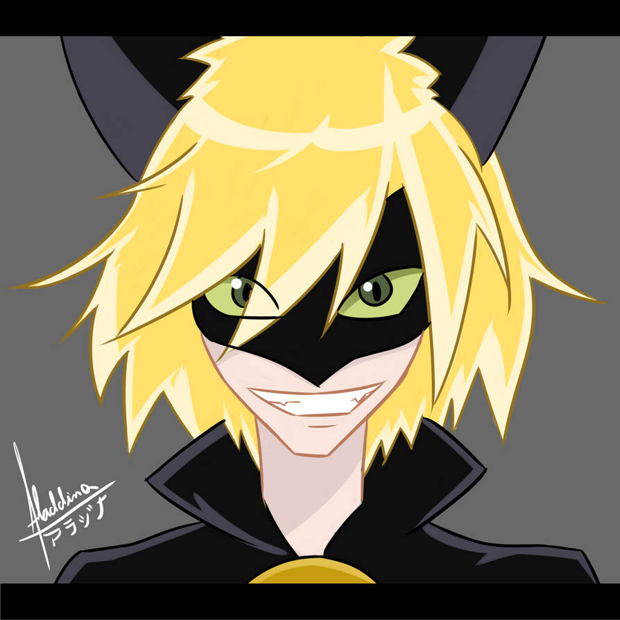 Download Cat Noir - Anime Style by AladdinaWorld on DeviantArt