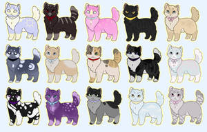 Cat Adopts [2/15 OPEN] FREE