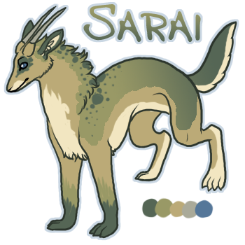 Sarai Reference Sheet