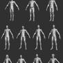 Male Body Bases P1
