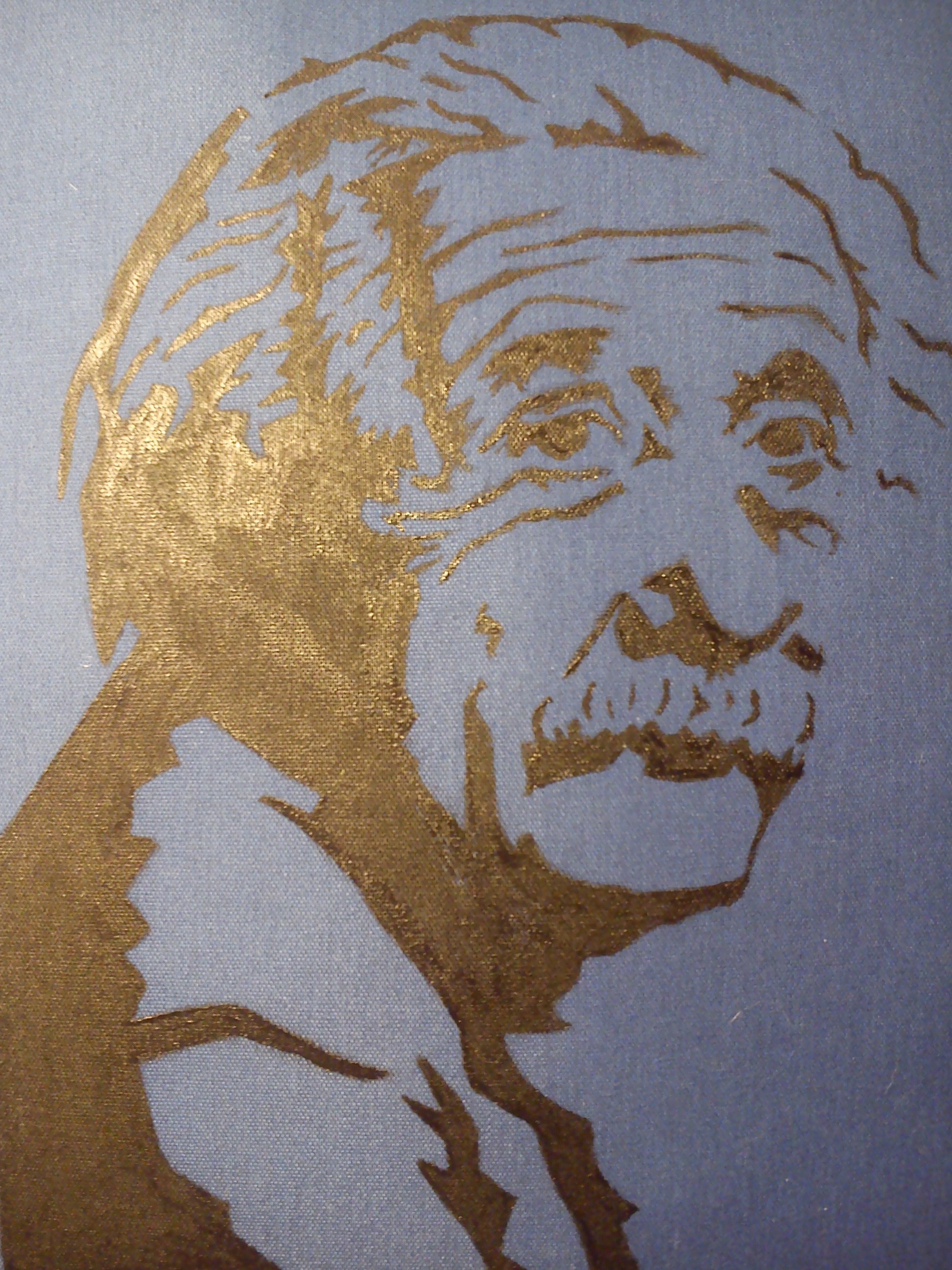 Einstein on a Pillow