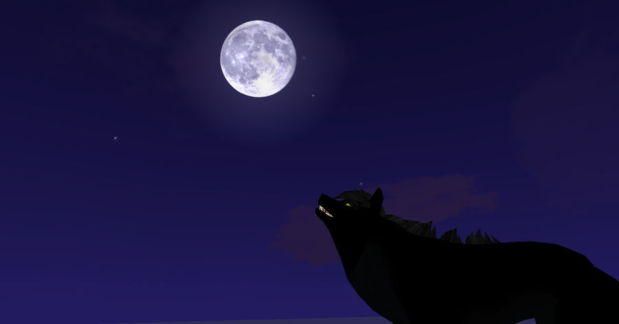 Zi Howling The Howl Of The Night by CatEye97 on DeviantArt