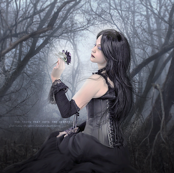 .: The Thorn that Cuts the Deepest :. by she-can-dream on DeviantArt